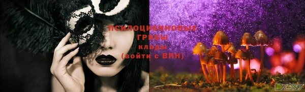 a pvp Алзамай