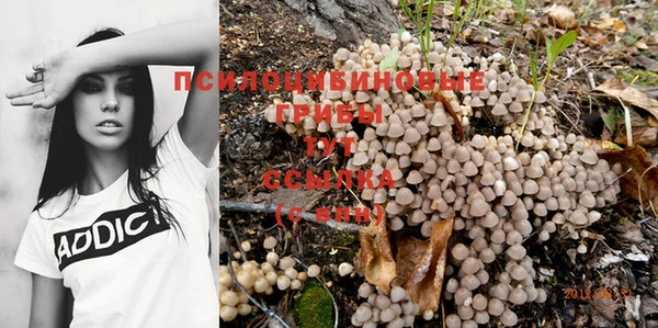 марки nbome Алексеевка