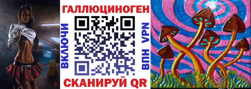 Псилоцибиновые грибы GOLDEN TEACHER  Николаевск 